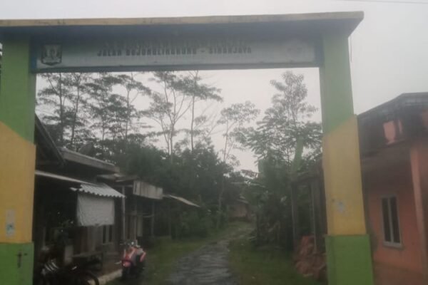 WhatsApp Image 2025 04 18 at 17.44.09 d6cd2f0d