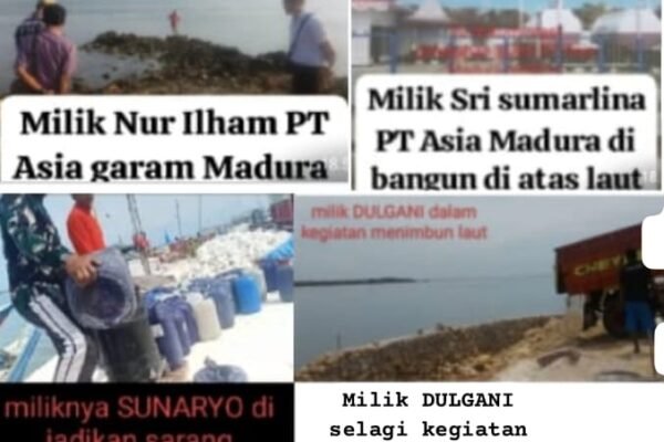 WhatsApp Image 2025 04 24 at 04.08.41 ca0fd30e