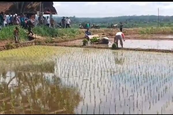 WhatsApp Image 2025 04 25 at 13.20.17 032509cb