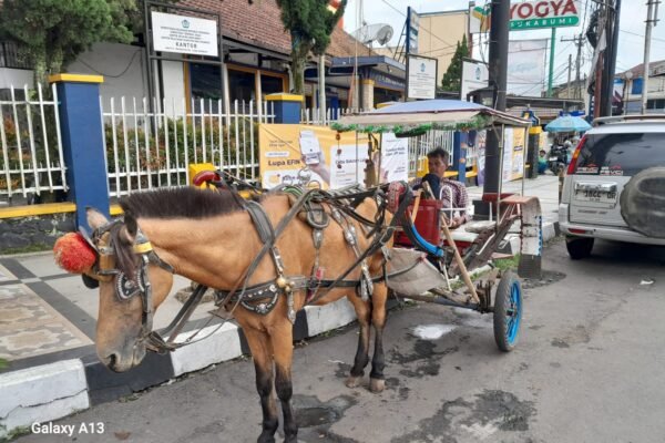 WhatsApp Image 2025 04 25 at 15.32.35 0e5a1028