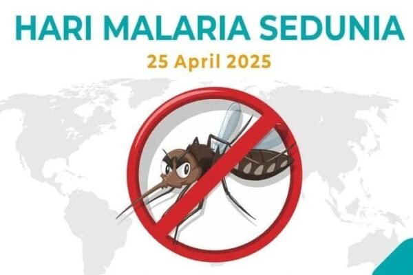 WhatsApp Image 2025 04 25 at 22.50.03 ec8e24f9