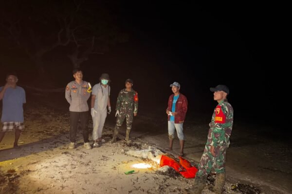 WhatsApp Image 2025 04 27 at 13.40.57 60e580c8