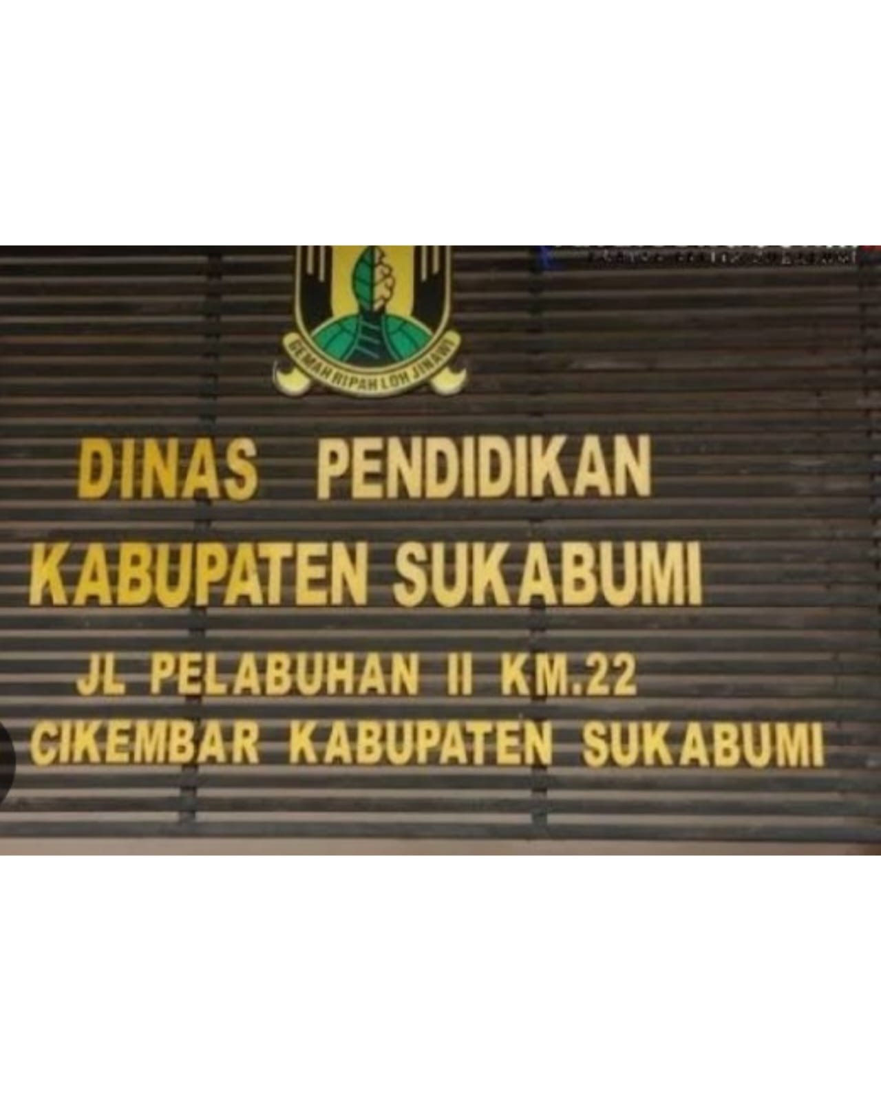 WhatsApp Image 2025 04 30 at 11.40.13 c71a238f