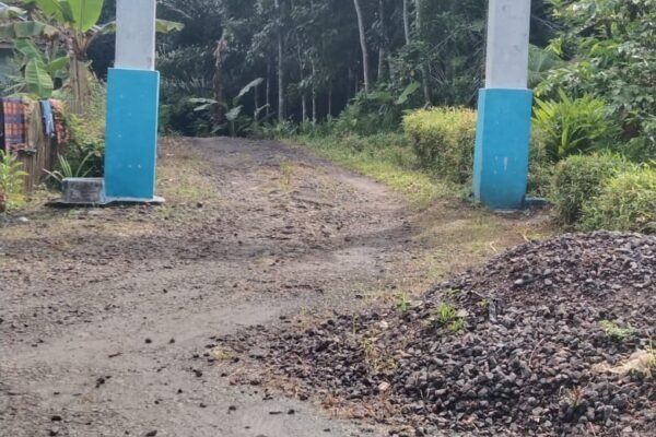 WhatsApp Image 2025 05 12 at 09.15.44 223a4bb9