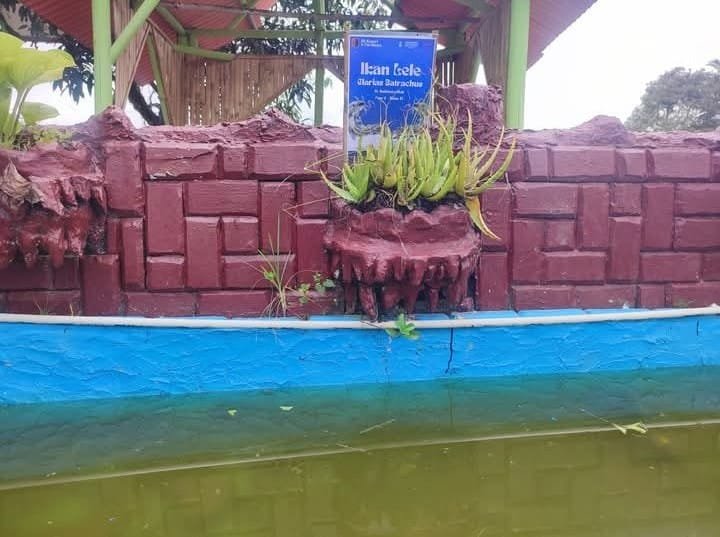 WhatsApp Image 2025 06 02 at 10.35.53 fdb1b0ca