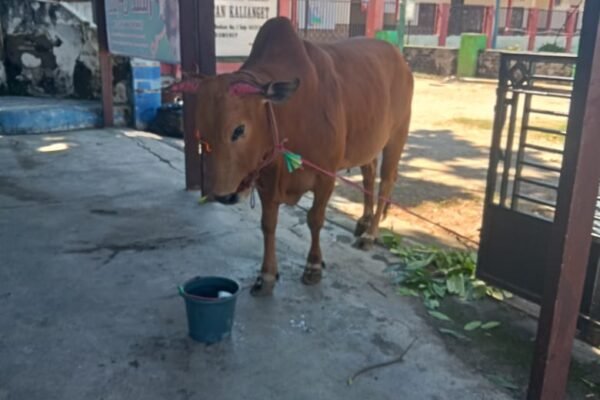 WhatsApp Image 2025 06 06 at 19.23.04 00b65c4f