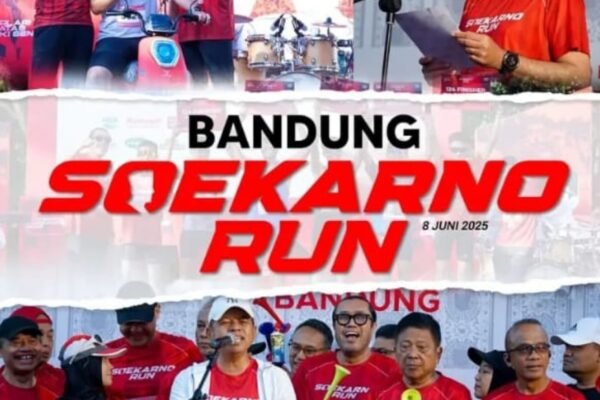 WhatsApp Image 2025 06 08 at 16.17.50 1578c0ad