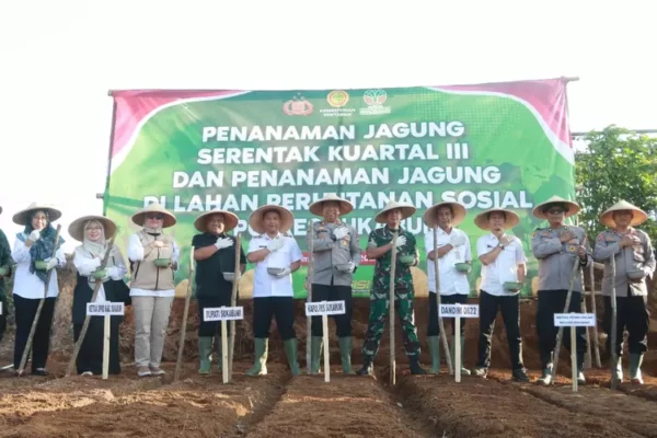 Dukung Swasembada Pangan Nasional, Polres Sukabumi Tanam Jagung Serentak di Lahan Perhutanan Simpenan IMG 20250710 WA0023 3186786051