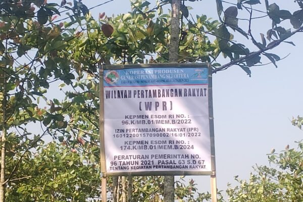 WhatsApp Image 2025 07 01 at 10.56.10 11b6a8a2