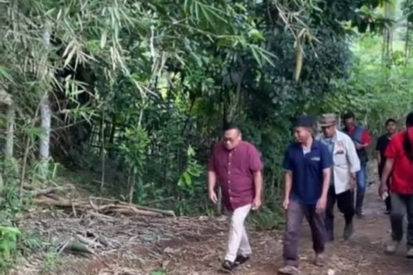 WhatsApp Image 2025 07 03 at 11.49.13 e71b1737