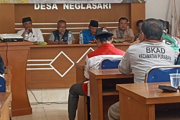 WhatsApp Image 2025 07 13 at 14.12.07 cd34963e