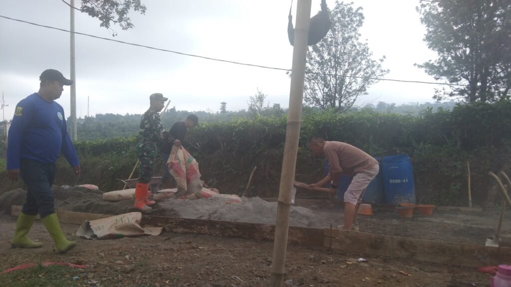 WhatsApp Image 2025 07 30 at 14.38.37 b351a028