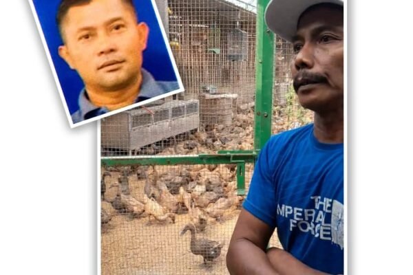 WhatsApp Image 2025 08 07 at 22.08.05 34c41d52