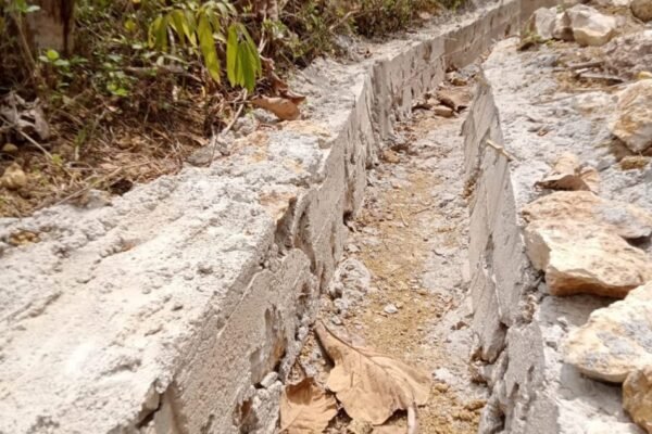 WhatsApp Image 2025 09 20 at 16.19.55 dbcb45a9