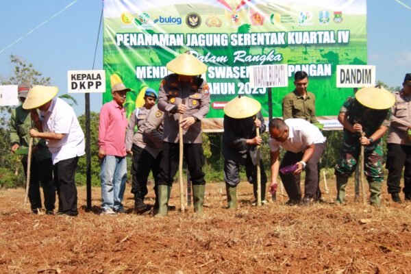 WhatsApp Image 2025 10 08 at 19.27.30 1