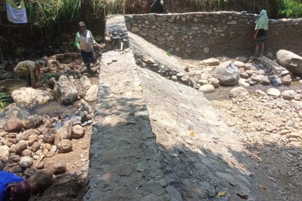 WhatsApp Image 2025 10 13 at 07.35.13