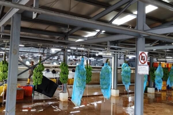 WhatsApp Image 2025 10 27 at 20.11.10 1