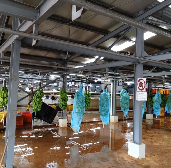 PT Dharma Satya Nusantara Tbk Janji Naikkan Gaji Pekerja PT Panyindangan Usai Sorotan Soal Upah di Bawah Standar 1 WhatsApp Image 2025 10 27 at 20.11.10 1