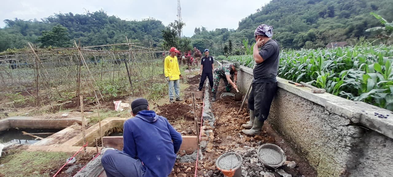 WhatsApp Image 2025 11 11 at 14.35.28 1