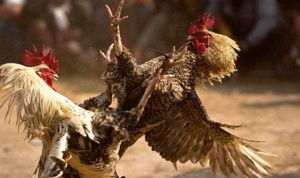 Screenshot 2025 12 02 182201