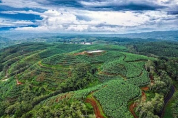 WhatsApp Image 2025 12 01 at 16.52.28