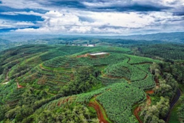 WhatsApp Image 2025 12 01 at 16.52.28