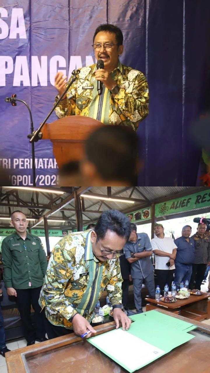 WhatsApp Image 2025 12 20 at 15.56.10 1