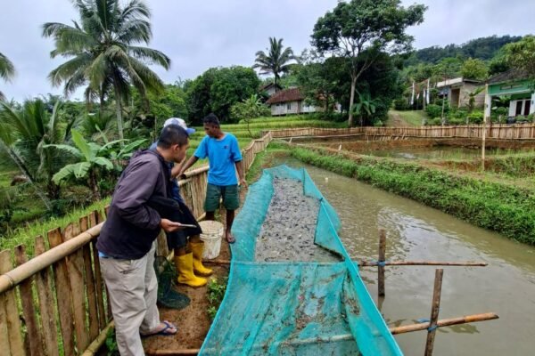 WhatsApp Image 2025 12 25 at 08.46.47 1