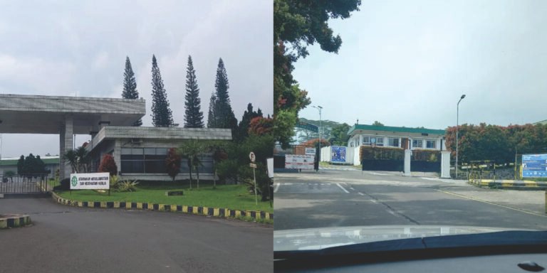 Untitled 11213445678 1