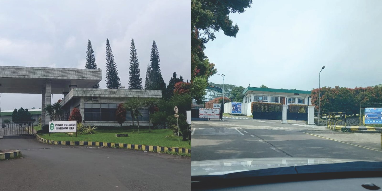 Potensi Besar Industri Sepatu Nike di Kecamatan Sukalarang: Motor Ekonomi Lokal dan Nasional 3 Untitled 11213445678 1