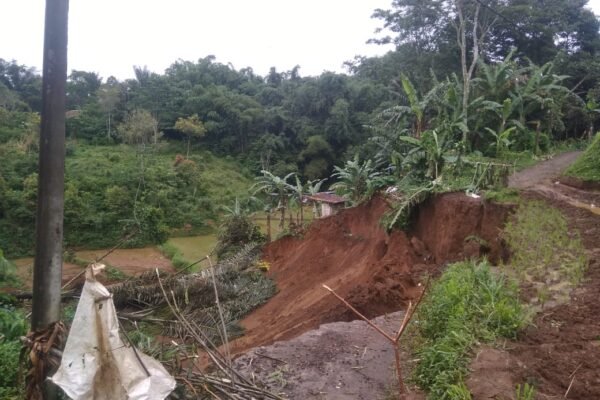 WhatsApp Image 2026 01 01 at 9.03.48 PM