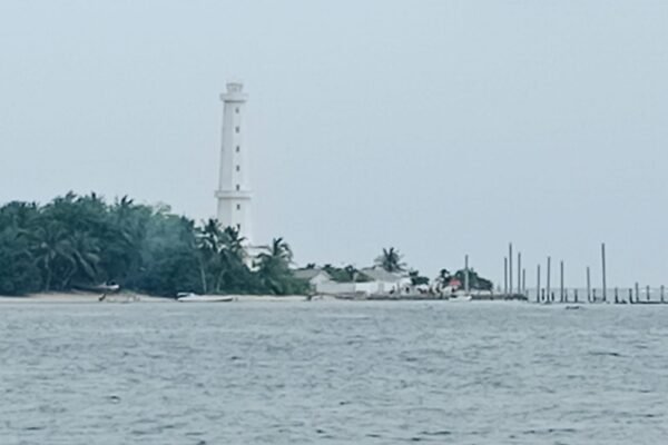 WhatsApp Image 2026 01 02 at 22.31.31