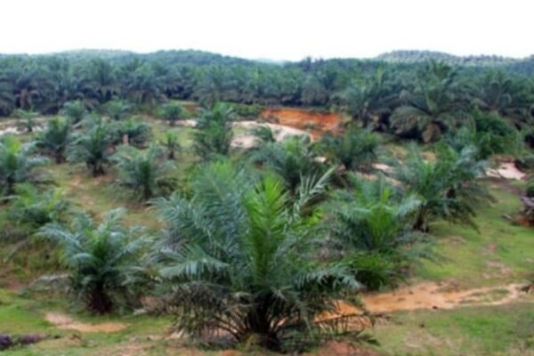 WhatsApp Image 2026 01 05 at 11.24.48