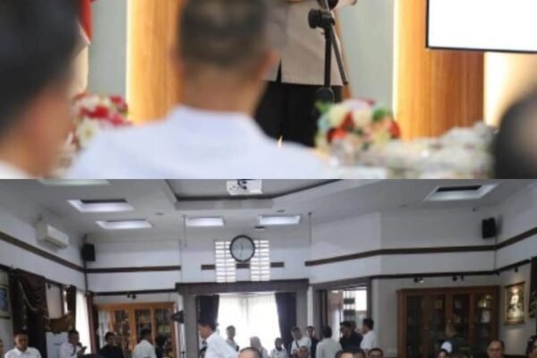 WhatsApp Image 2026 01 07 at 19.38.24