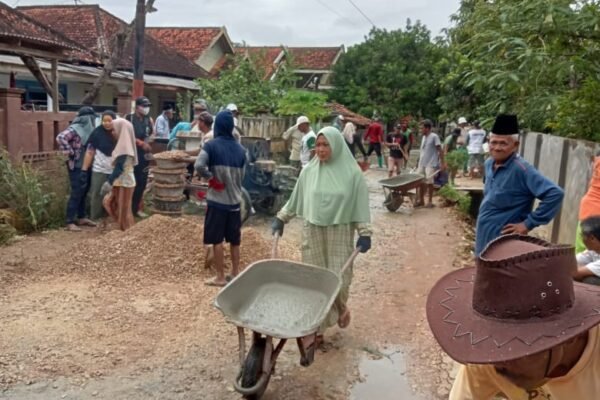 WhatsApp Image 2026 01 12 at 16.39.31