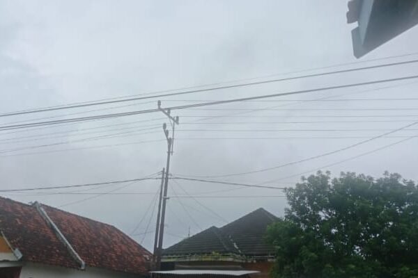 WhatsApp Image 2026 01 17 at 11.11.16 1