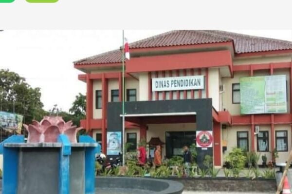 WhatsApp Image 2026 01 19 at 9.25.51 AM