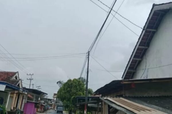 WhatsApp Image 2026 01 22 at 09.41.04