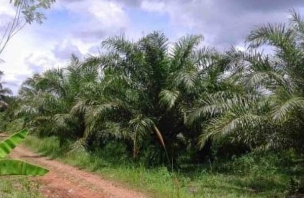 WhatsApp Image 2026 01 23 at 7.04.44 PM