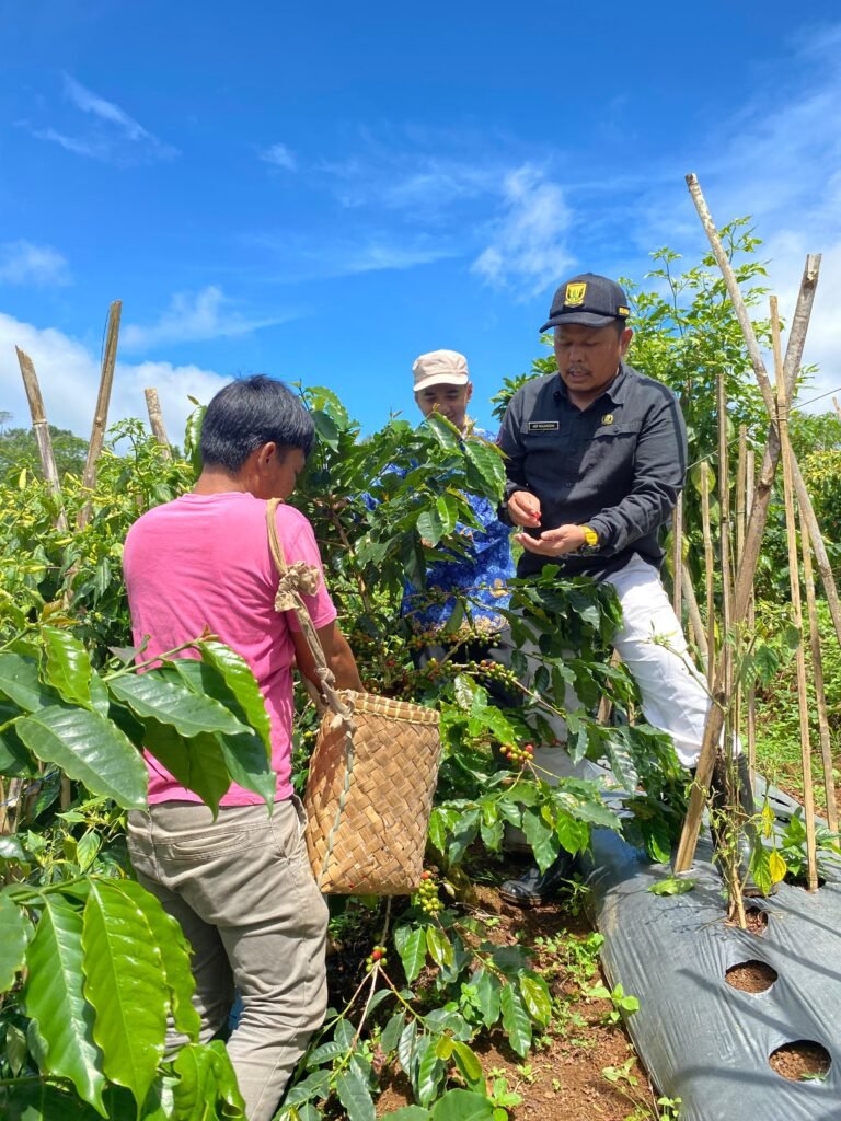 WhatsApp Image 2026 02 05 at 22.25.32