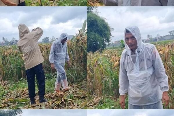 WhatsApp Image 2026 02 07 at 17.56.31