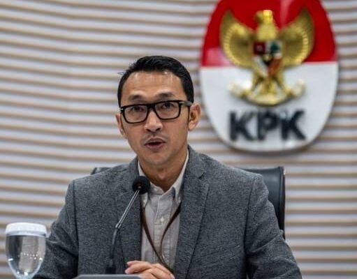 WhatsApp Image 2026 02 12 at 5.03.07 PM