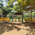 WhatsApp Image 2026 02 15 at 9.01.28 AM