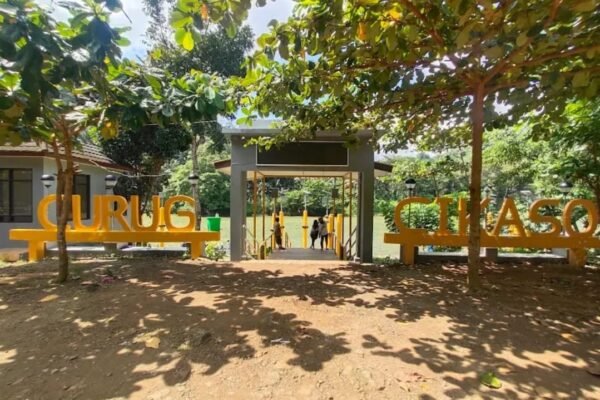 WhatsApp Image 2026 02 15 at 9.01.28 AM