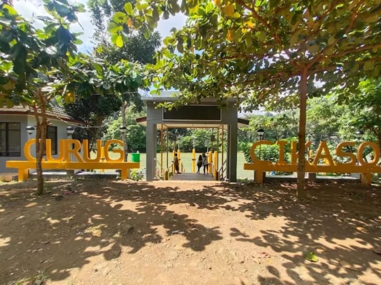 WhatsApp Image 2026 02 15 at 9.01.28 AM