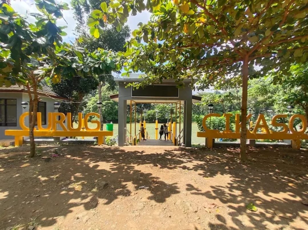 WhatsApp Image 2026 02 15 at 9.01.28 AM