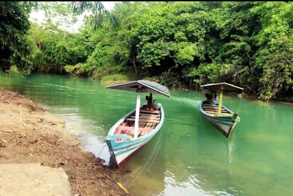 WhatsApp Image 2026 02 15 at 9.01.29 AM 1