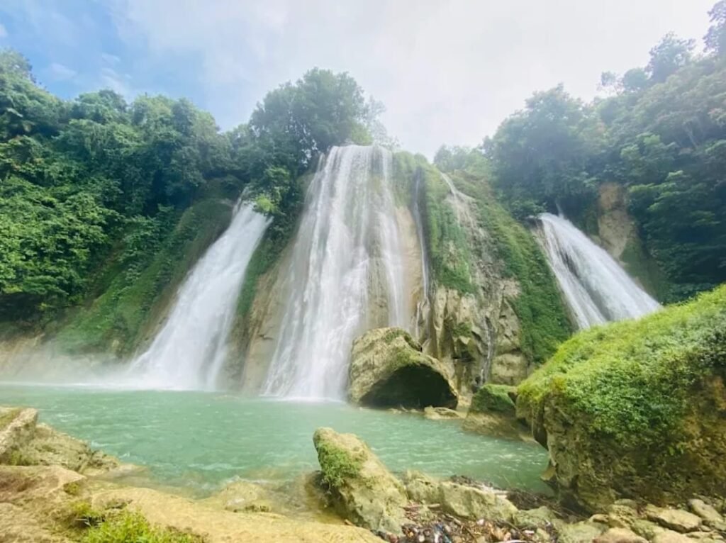 WhatsApp Image 2026 02 15 at 9.01.29 AM