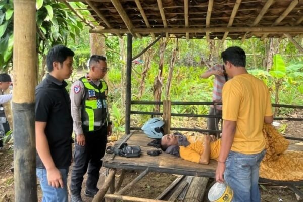 WhatsApp Image 2026 02 27 at 04.32.56