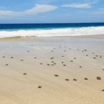 Screenshot 2026 03 02 132353